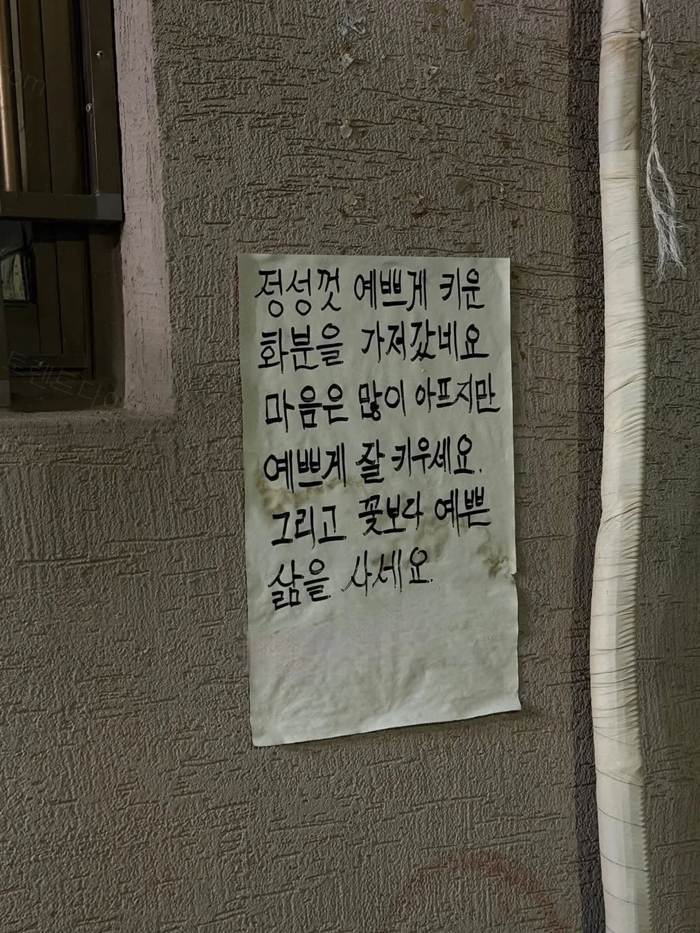 uploaded_6a42d731ec9694.50496303.webp