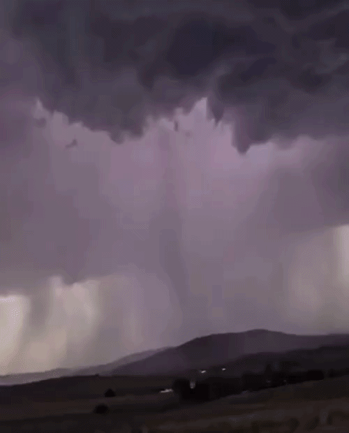 uploaded_6a483a58abaf08.49009303.gif