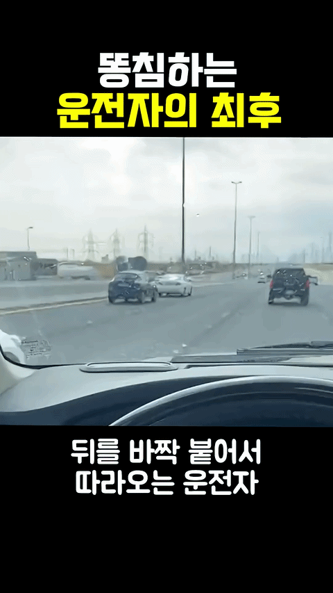 uploaded_6a4981c60a8ef7.58096733.gif