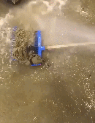 uploaded_6a49822266f975.48294039.gif