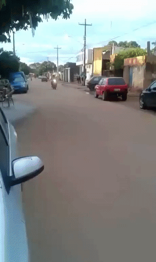 uploaded_6a4982fb77e671.86406286.gif