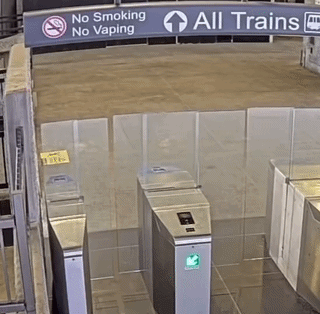uploaded_6a49842fa2c0b9.33428389.gif