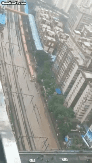 uploaded_6a4c0a35403134.29201247.gif