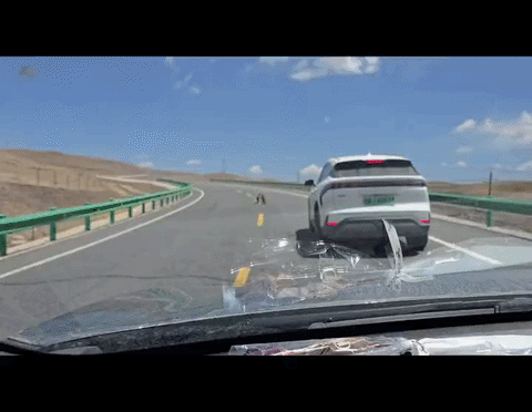 uploaded_6a4d75f555ae17.07174248.gif