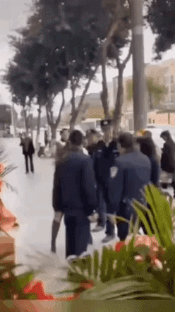 uploaded_6a4ebd4e2a03c3.88251771.gif