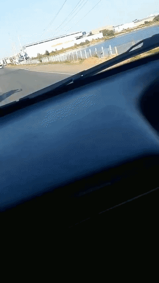 uploaded_6a57f85f4b1775.02066105.gif