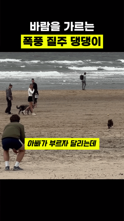 uploaded_6a595f61f3fc47.49043646.gif