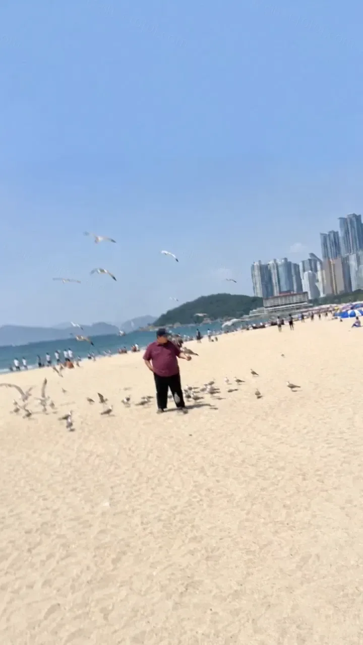 uploaded_6a5f8d96b4b565.53485937.webp