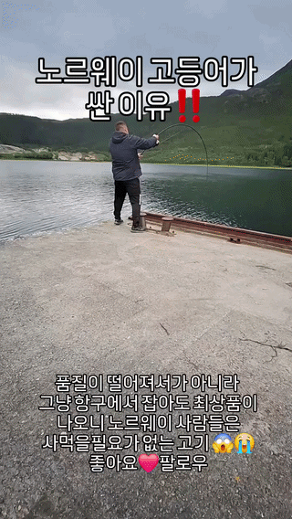 uploaded_6a5fdf82150686.05543012.gif