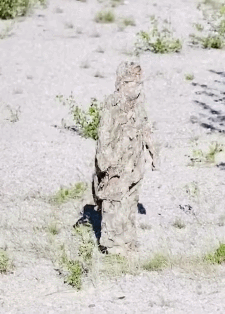 uploaded_6a61344eefe8a9.74298342.gif