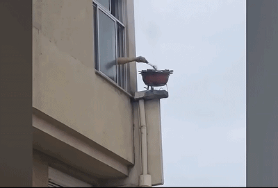 uploaded_6a62830f526a74.96140570.gif