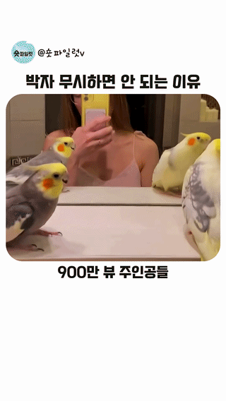 uploaded_6a63ed8d556f80.33956672.gif