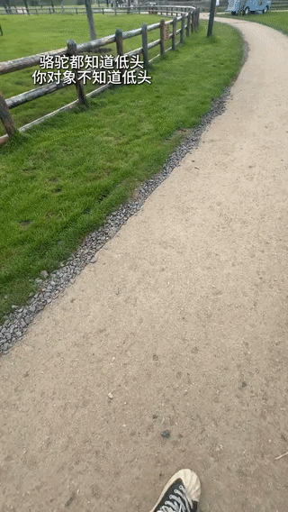 uploaded_6a67c0545f46d3.53176384.gif