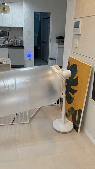 uploaded_6a691eae383fb2.47997316.gif