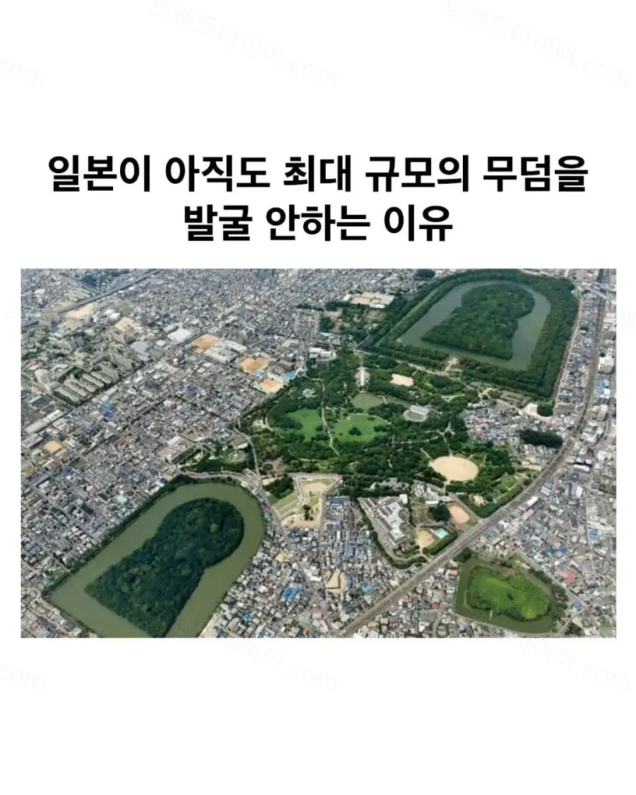 uploaded_6a6ad4032b28a0.13211421.webp