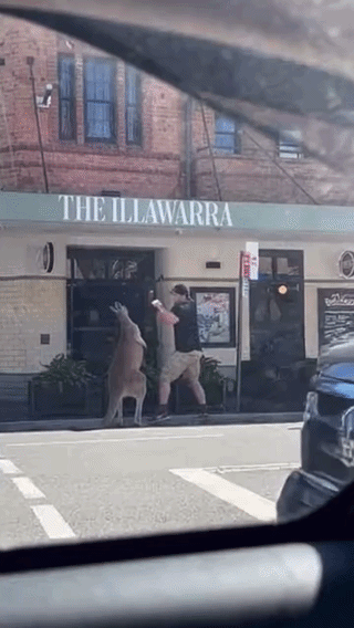 uploaded_6a6fb6a61fbb78.23230504.gif