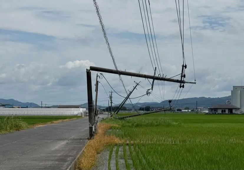 uploaded_6a70ec8b1a2bd1.74679630.webp