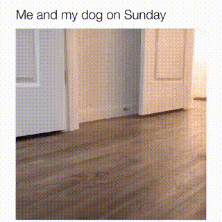 uploaded_6a70edc098f154.07278942.gif