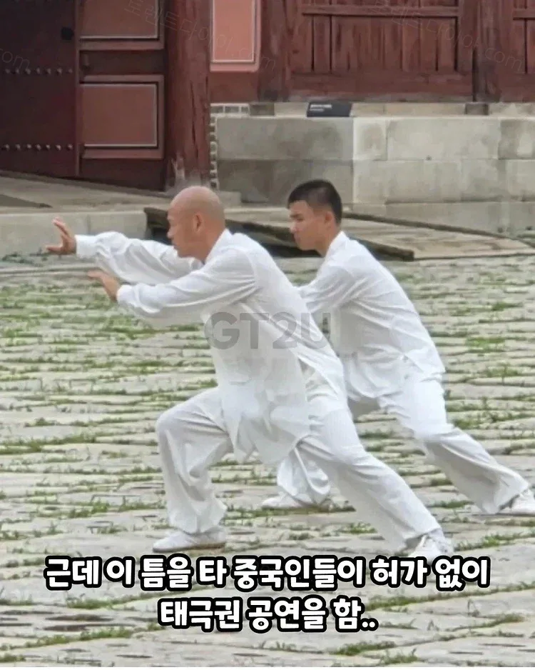 uploaded_6a70ef95701379.80373505.webp