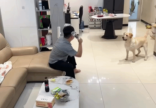 uploaded_6a73a2772f7cd2.21692253.gif