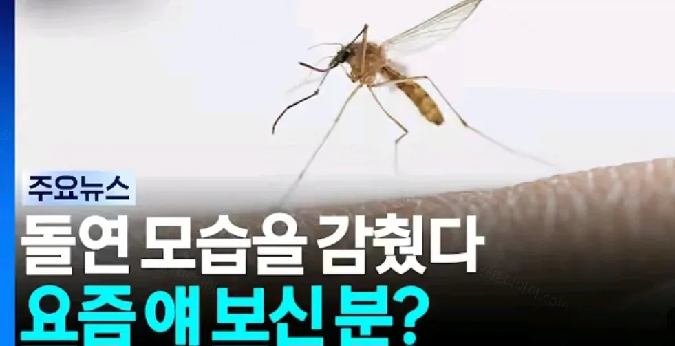 uploaded_6a74a6ea954c67.92814674.webp