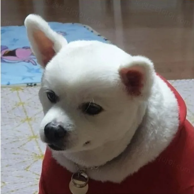 uploaded_6a74eb61c18638.65736563.webp