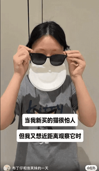 uploaded_6a78cc25e1c9c7.80470698.gif