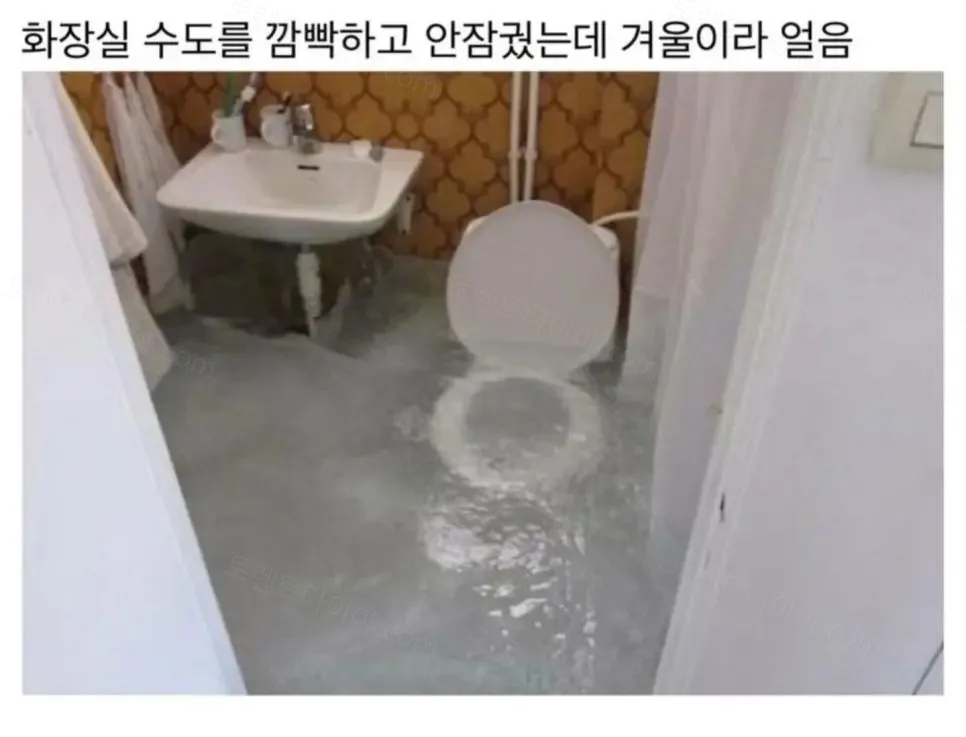 uploaded_6a8226cdedd575.59440810.webp