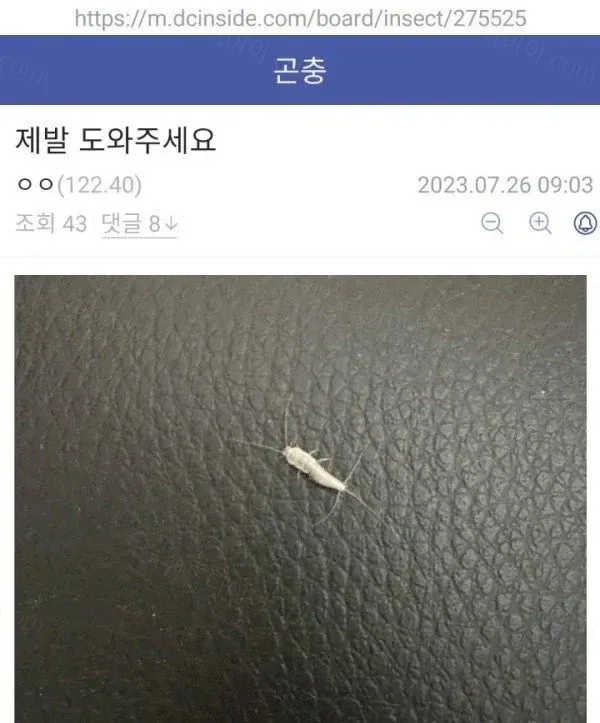 uploaded_6a822800218cf6.98049068.webp