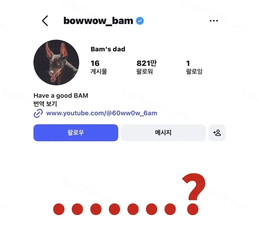 uploaded_6a850c70b1ce60.40486168.webp