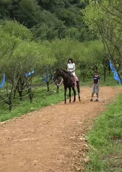uploaded_6a860fe6588e19.87565188.gif