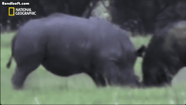 uploaded_6a88d1b20a7201.92181055.gif