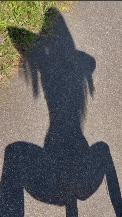 uploaded_6a88d5611f9946.62858673.gif