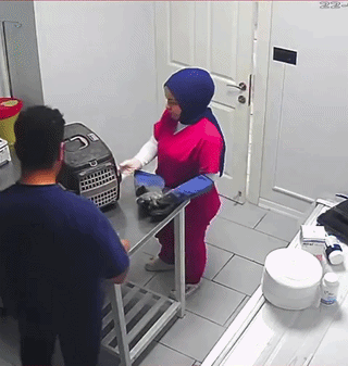 uploaded_6a88d650af5fb9.87653245.gif