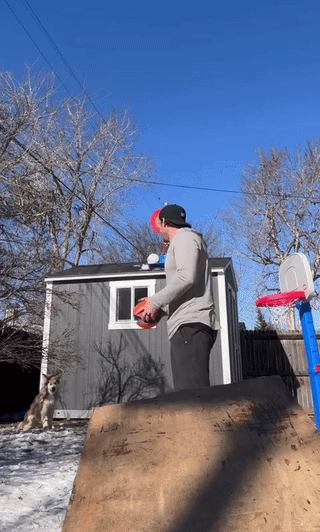 uploaded_6a8ca0577cf076.91658142.gif