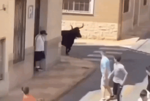 uploaded_6a8e09ba6a83c3.48951212.gif