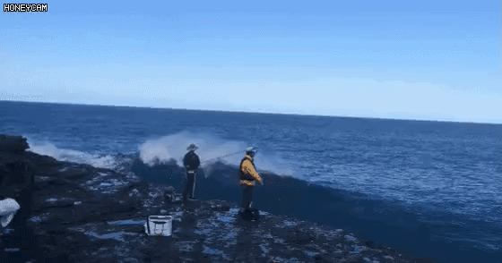 uploaded_6a8e0b4d954b28.08863825.gif