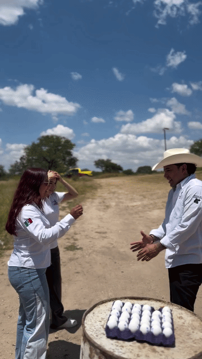uploaded_6a8f3f7e308ef3.17665937.gif