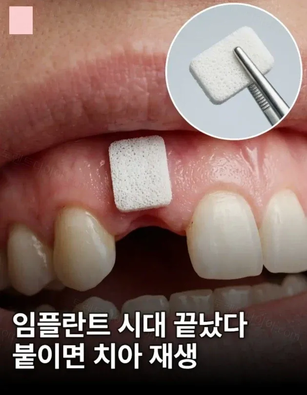 uploaded_6a8f8370d67fb8.61574793.webp