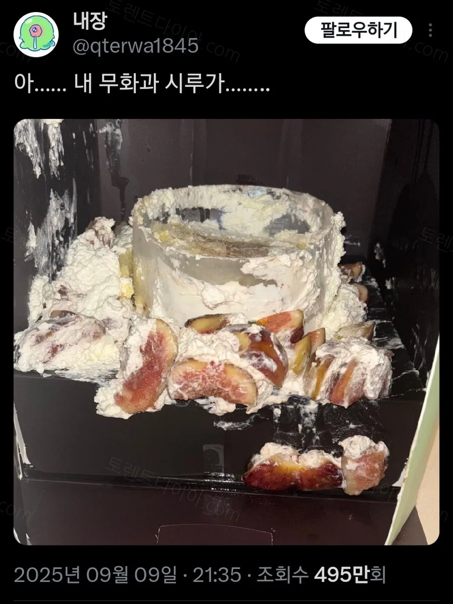uploaded_6a909f927ed478.12774102.webp