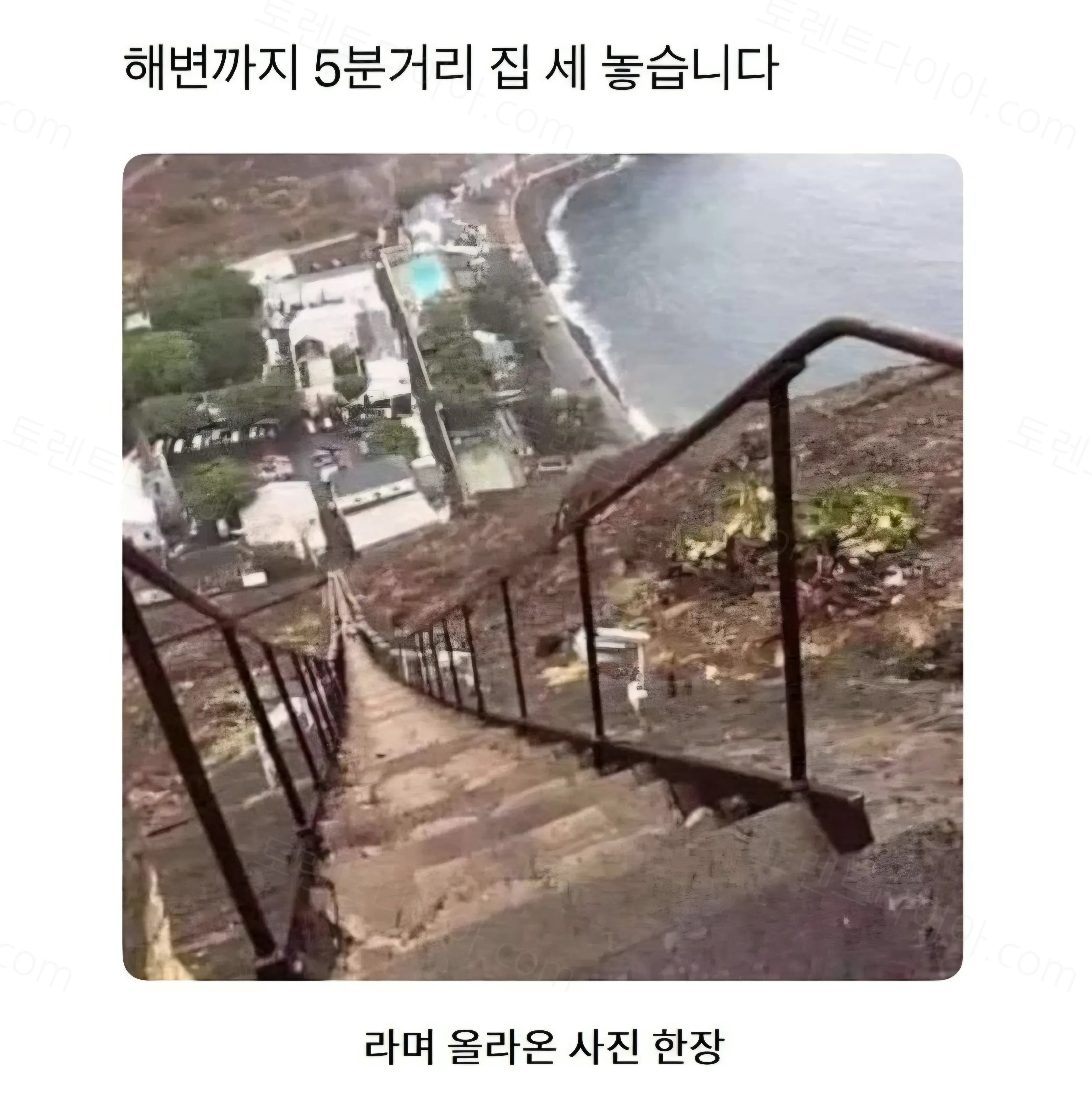 uploaded_6a973b28077e11.17510769.webp