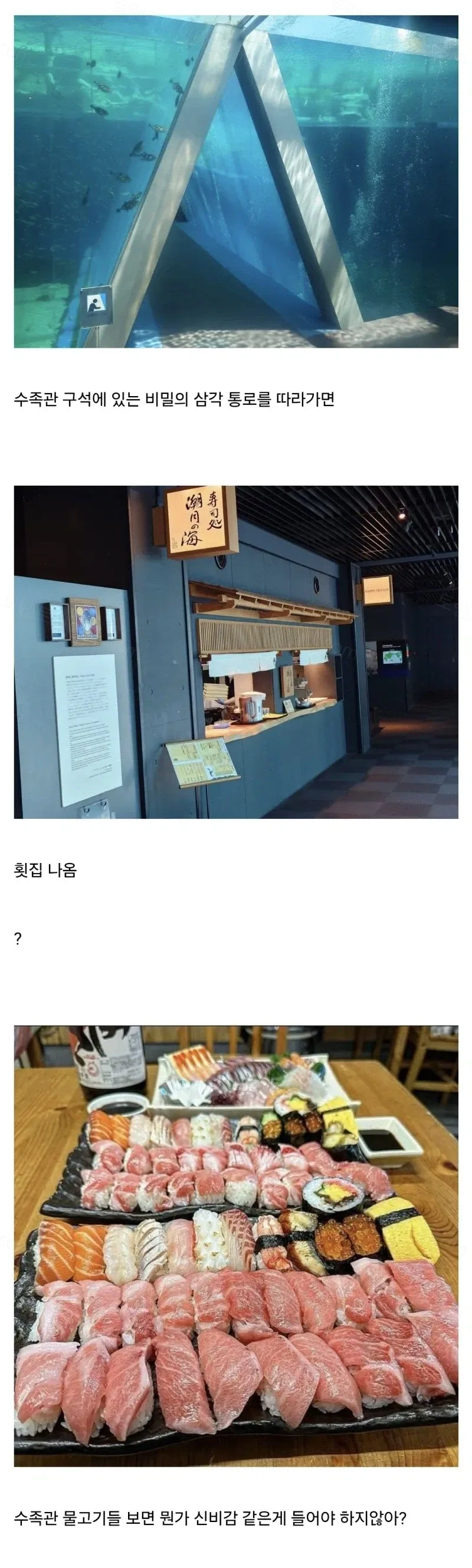 uploaded_6a9c90b522aa31.37597327.webp