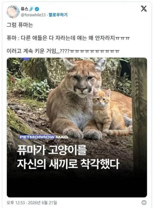 uploaded_6a9f27c9f32ac5.46406988.webp