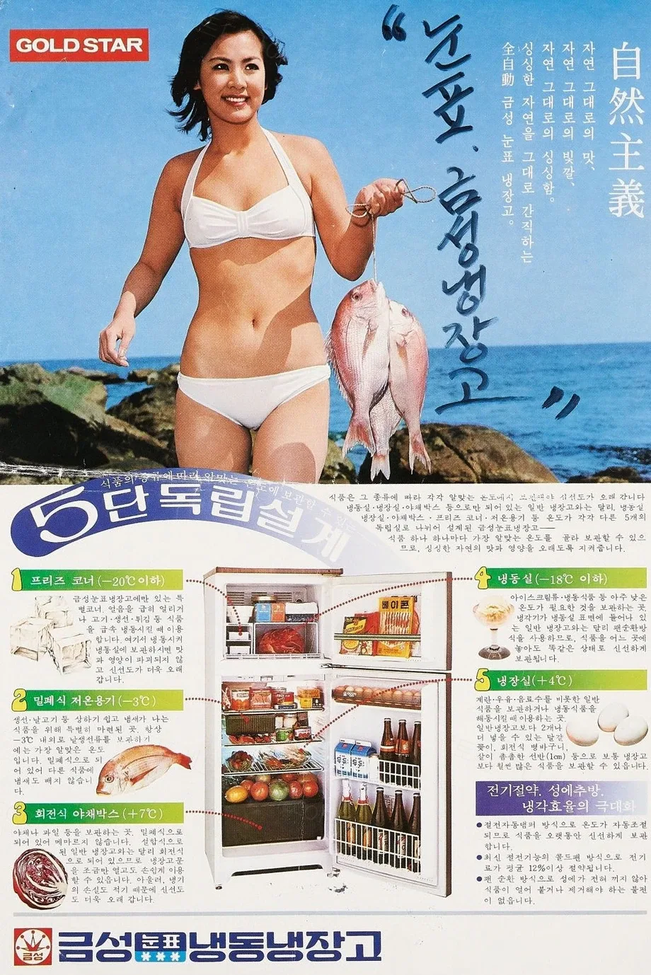 uploaded_6aa456fe4c4fc7.68579926.webp
