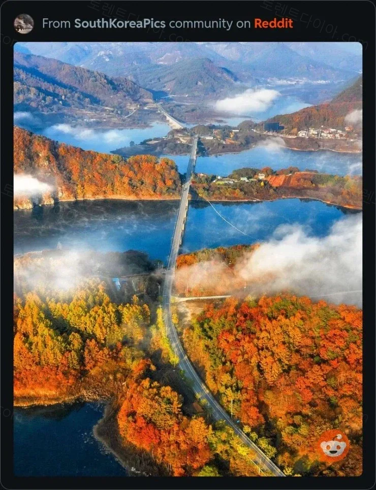 uploaded_6aa49f387cb099.52722942.webp