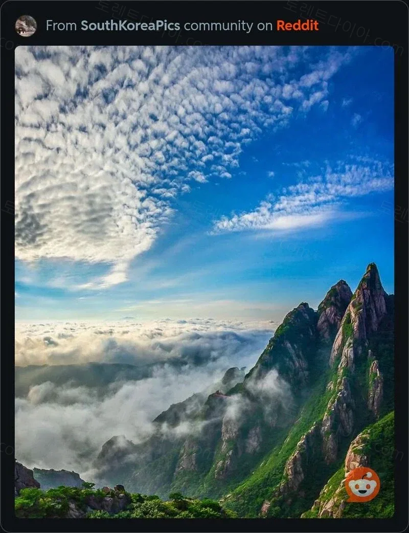 uploaded_6aa49f412eb071.99482239.webp