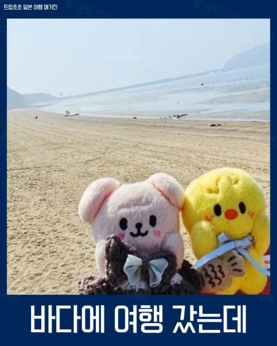 uploaded_6aa5f6e2b02512.10133150.webp