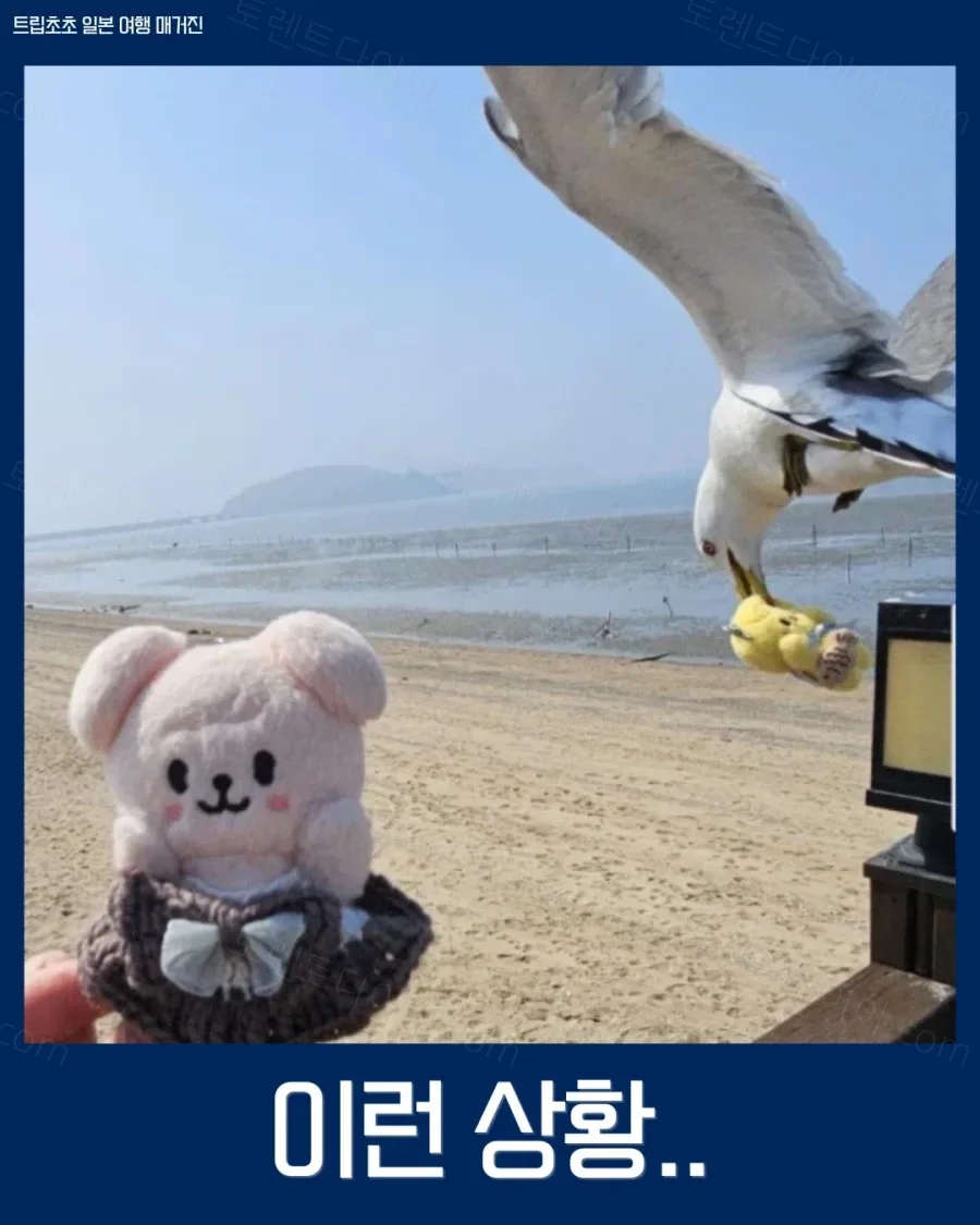 uploaded_6aa5f6e6e8fb77.71218921.webp