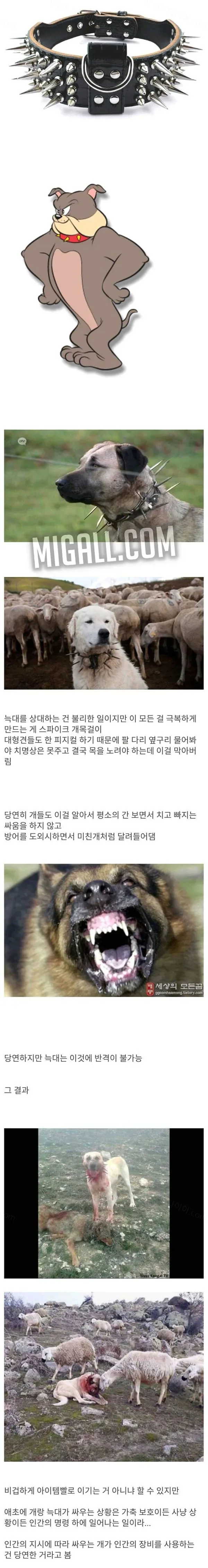 uploaded_6aa6a3e793c6e9.50349453.webp