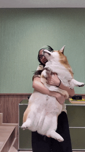 uploaded_6aa712276074e1.18955257.gif